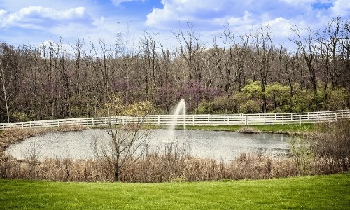 wildlife-garden-pond-image