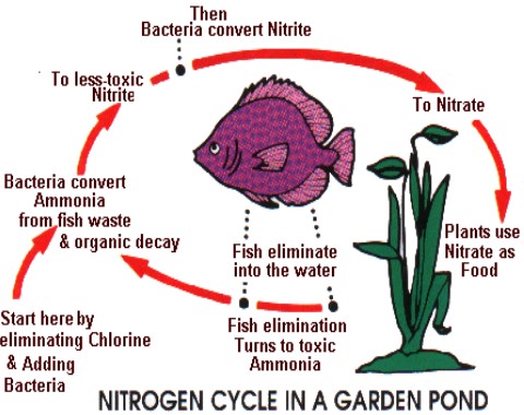 pond-water-testing-image